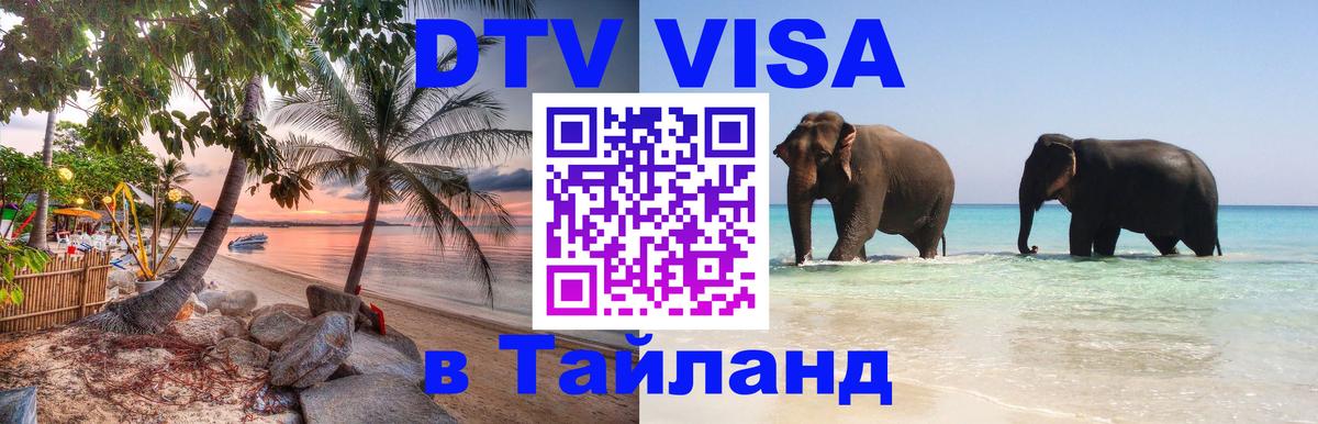 Оформление DTV визы под ключ: стоимость и тарифы, только загранпаспорт - Архангельск 